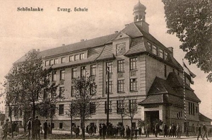 Trzcianka - Reprodukcja 34040