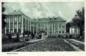Wieleń - Reprodukcja 34054