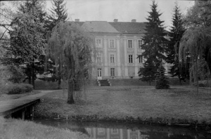 Wieleń - Reprodukcja 34060