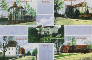Wieleń - Reprodukcja 34077