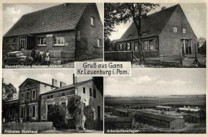Gęś widokowa - Reprodukcja 34491