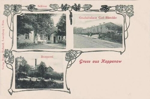 Kopaniewo - Reprodukcja 34499