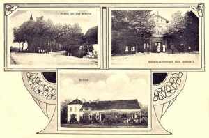 Łebunia widokowa - Reprodukcja 34510
