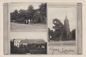 Łebunia widokowa - Reprodukcja 34512