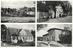 Ulinia - Reprodukcja 34536