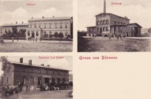 Zdrzewno - Reprodukcja 34545
