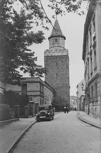 Chojnów - Reprodukcja 34596