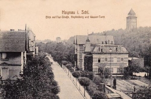 Chojnów - Reprodukcja 34651