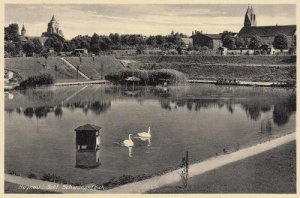 Chojnów - Reprodukcja 34691