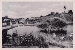 Chojnów - Reprodukcja 34692