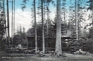 Chojnów - Reprodukcja 34733