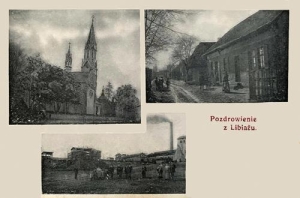Libiąż widokowa - Reprodukcja 34744