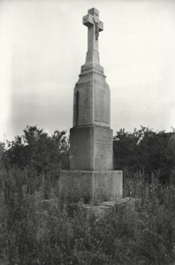 Węgrów - Reprodukcja 34748