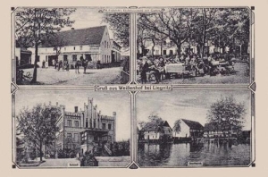 Białka widokowa - Reprodukcja 34758