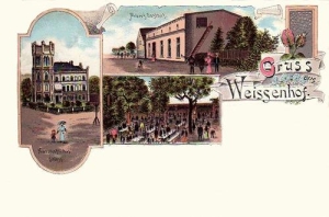 Białka widokowa - Reprodukcja 34759