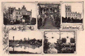 Białka widokowa - Reprodukcja 34761