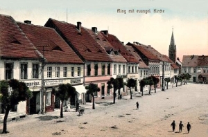 Wiązów - Reprodukcja 34773