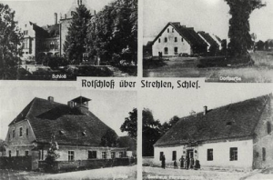 Białobrzezie - Reprodukcja 34791