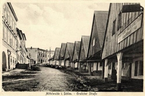 Międzylesie - Reprodukcja 34804