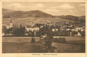Międzylesie - Reprodukcja 34826