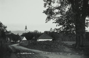 Międzylesie - Reprodukcja 34827