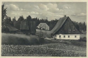 Międzylesie - Reprodukcja 34838