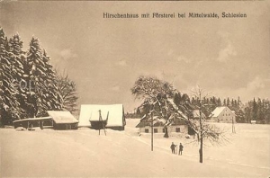 Międzylesie - Reprodukcja 34839