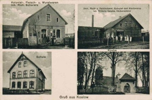 Kozłów - Reprodukcja 34902