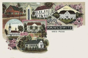 Pawłowice - Reprodukcja 34920