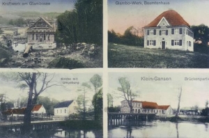 Gałązina Mała - Reprodukcja 34939