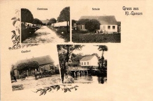 Gałązina Mała - Reprodukcja 34941