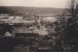Kurzętnik - Reprodukcja 35058