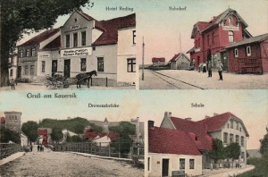 Kurzętnik - Reprodukcja 35061