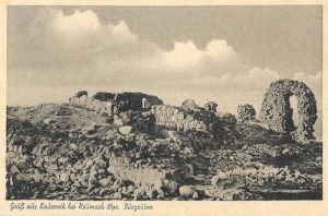 Kurzętnik - Reprodukcja 35063