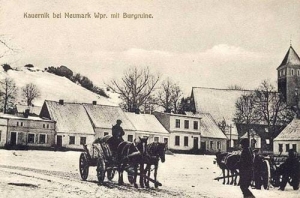 Kurzętnik - Reprodukcja 35062