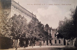 Lwówek - Reprodukcja 35236