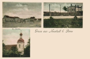 Lwówek - Reprodukcja 35238