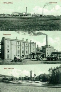 Opalenica - Reprodukcja 35243