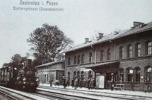 Opalenica - Reprodukcja 35245