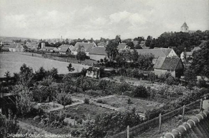 Drygały - Reprodukcja 35267