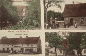 Bolewice - Reprodukcja 35271