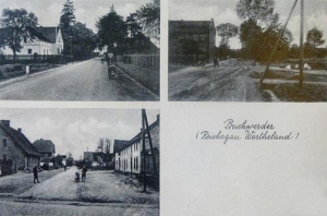 Bolewice - Reprodukcja 35272