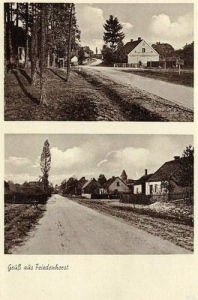 Jastrzębsko Stare - Reprodukcja 35290