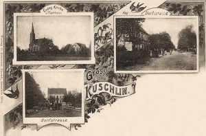 Kuślin - Reprodukcja 35297