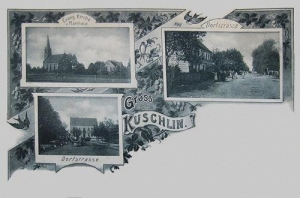 Kuślin - Reprodukcja 35299