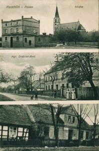 Kuślin - Reprodukcja 35301