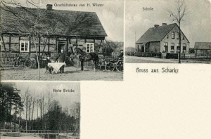 Szarki - Reprodukcja 35335