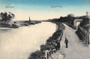 Śrem - Reprodukcja 35462