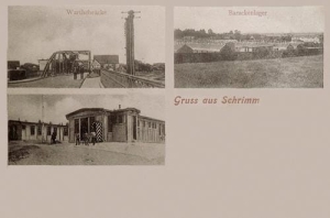 Śrem - Reprodukcja 35496