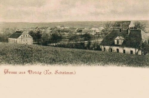 Dolsk panorama - Reprodukcja 35503